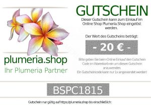 Geschenkgutschein über 20€