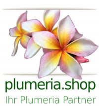 Plumeria Earth