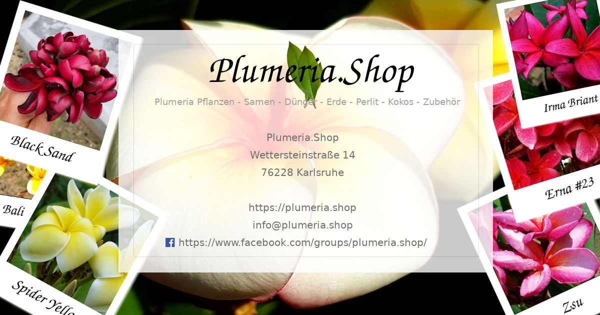 (c) Plumeria.shop