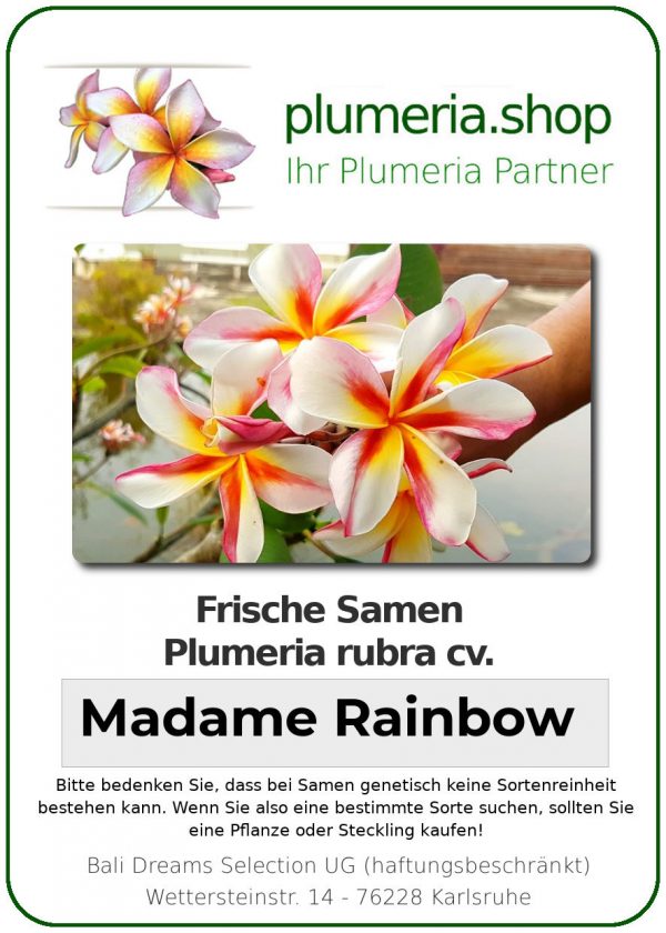 Plumeria rubra "Madame Rainbow"
