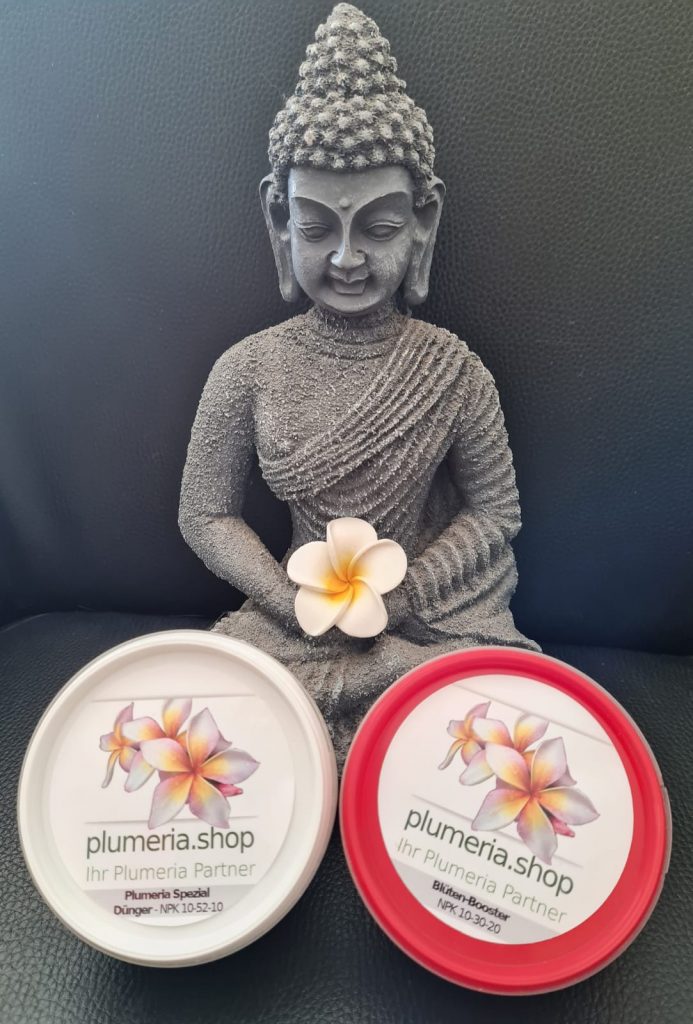 Die Dünger Kombi für maximale Erfolge (2x 200g Plumeria Dünger)