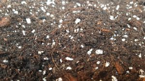 Plumeria Spezialerde „Maestro Mix“ - 5.0L