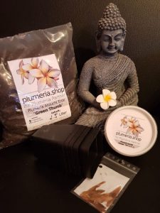 Frangipani Samen Starter Paket #2