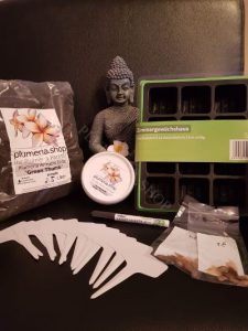 Frangipani Samen Starter Paket #5
