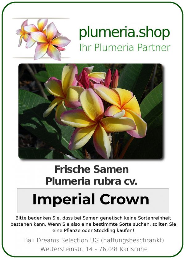 Plumeria rubra &quot;Imperial Crown