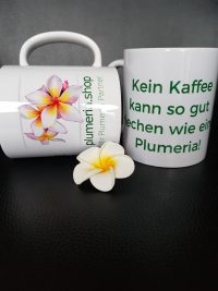 Plumeria cup