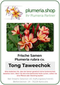 Plumeria rubra &quot;Tong Taweechok