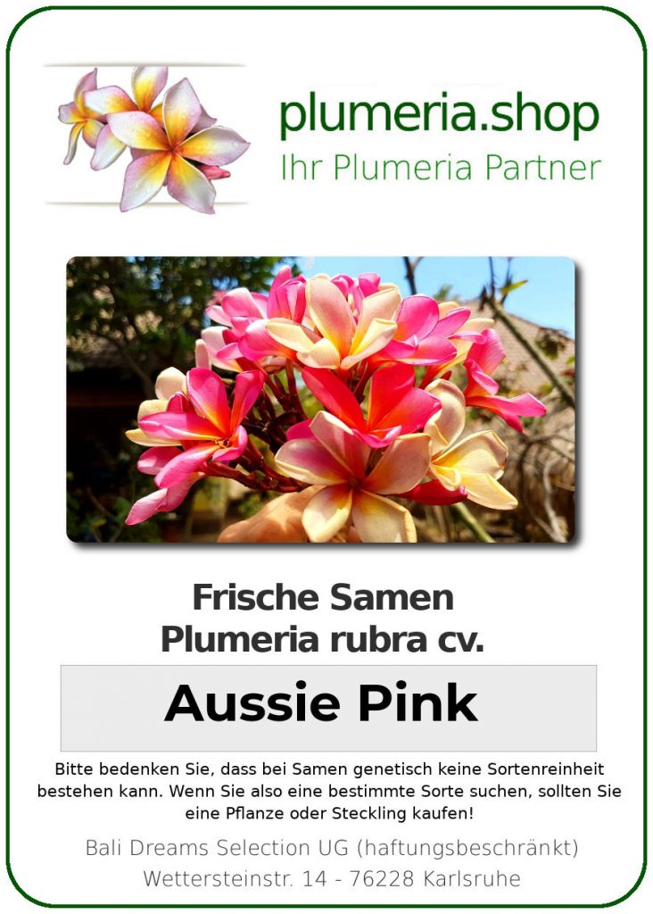 Plumeria rubra "Aussie Pink"