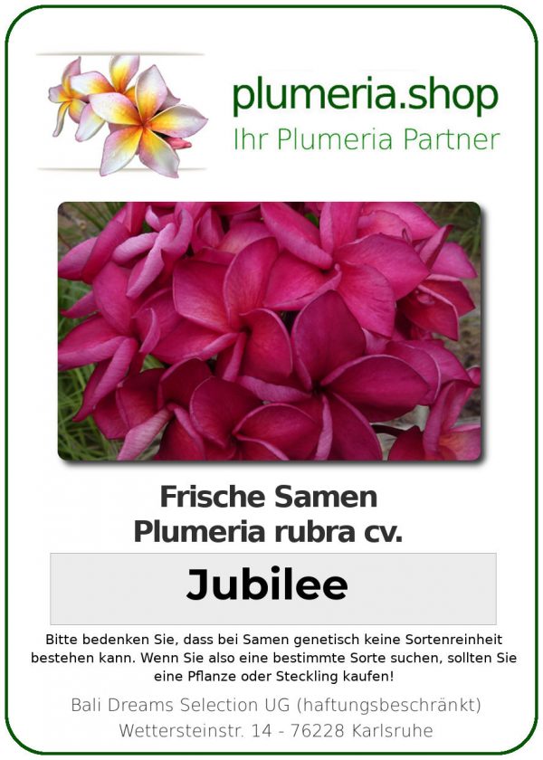 Plumeria rubra "Jubilee"