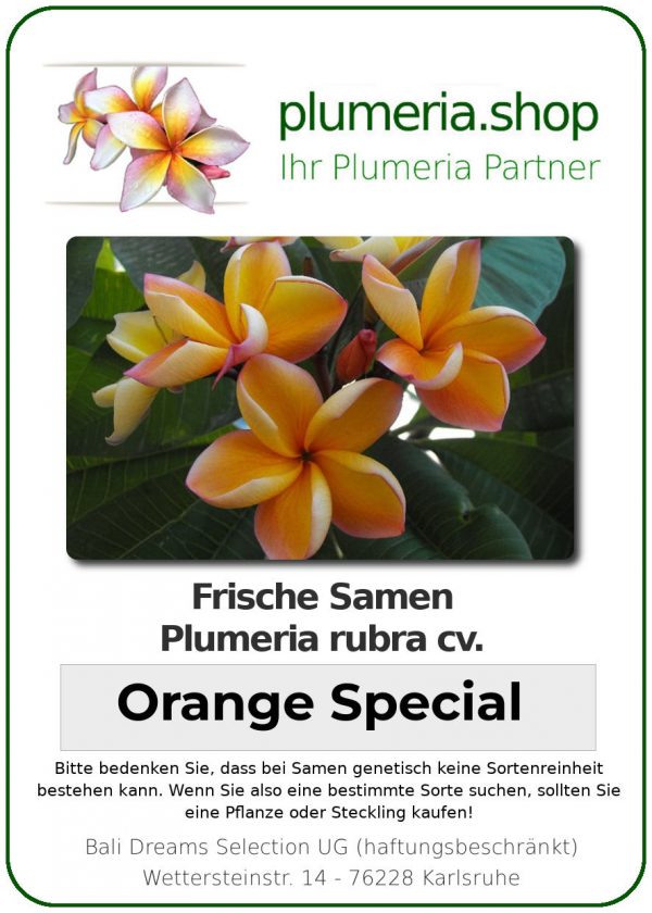 Plumeria rubra "Orange Special"