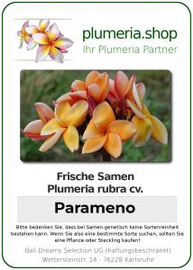 Plumeria rubra "Parameno"
