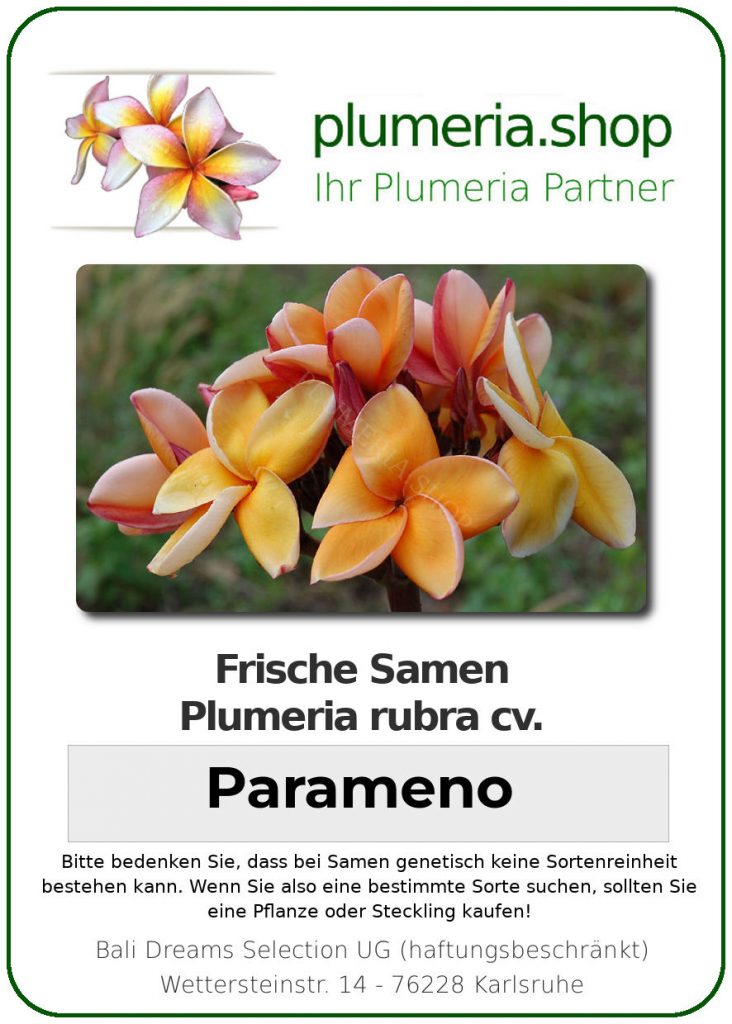 Plumeria rubra "Parameno"