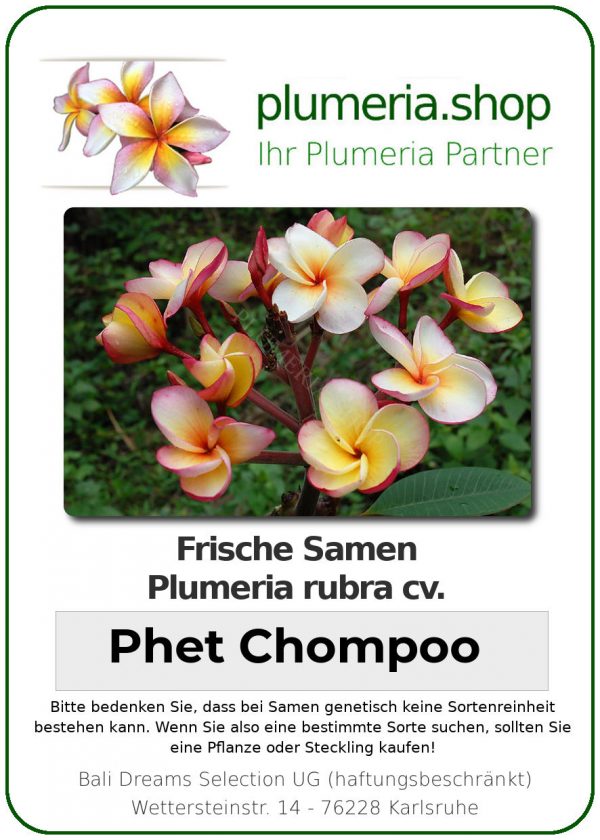 Plumeria rubra "Phet Chompoo"