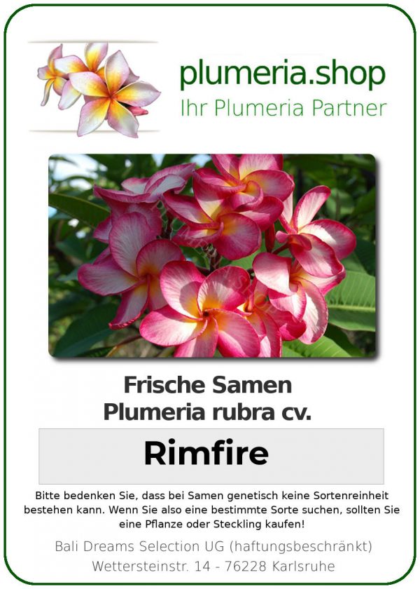 Plumeria rubra "Rimfire"
