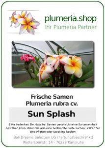 Plumeria rubra "Sun Splash"