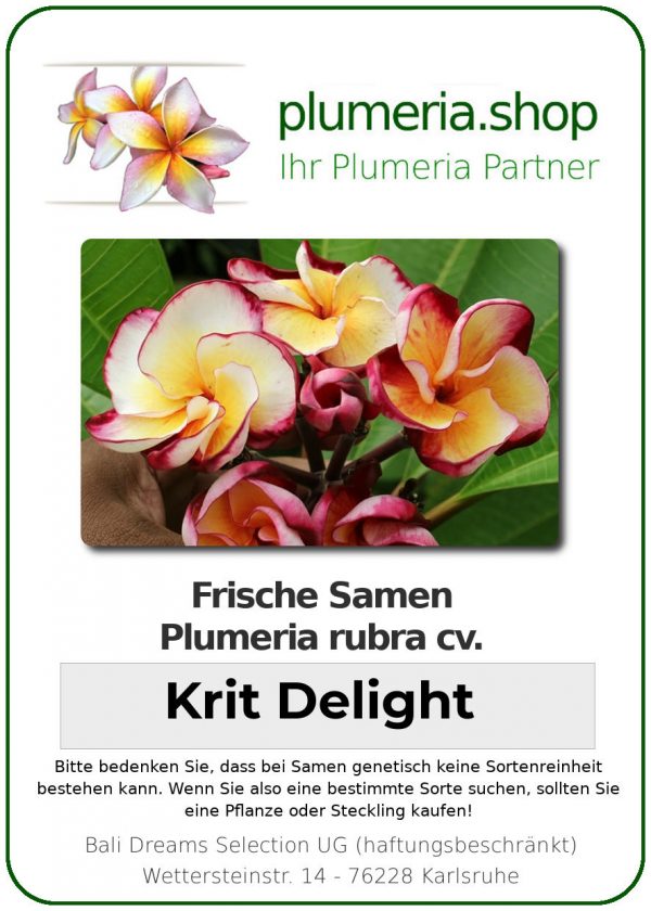 Plumeria rubra "Krit Delight"