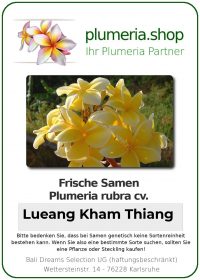 Plumeria rubra &quot;Lueang Kham Thiang&quot;