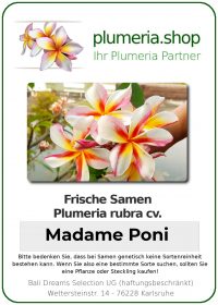 Plumeria rubra "Madame Poni"