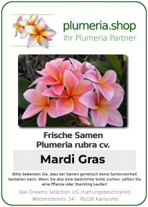 Plumeria rubra "Mardi Gras"