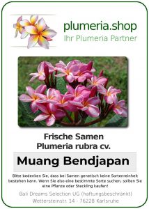 Plumeria rubra "Muang Bendjapan"