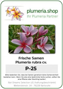 Plumeria rubra "P-25"