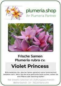 Plumeria rubra &quot;Princesse violette