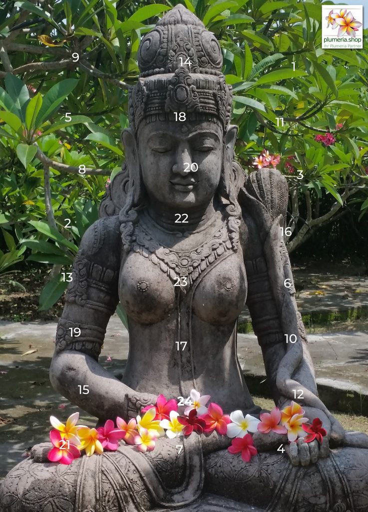 Adventskalender 2021