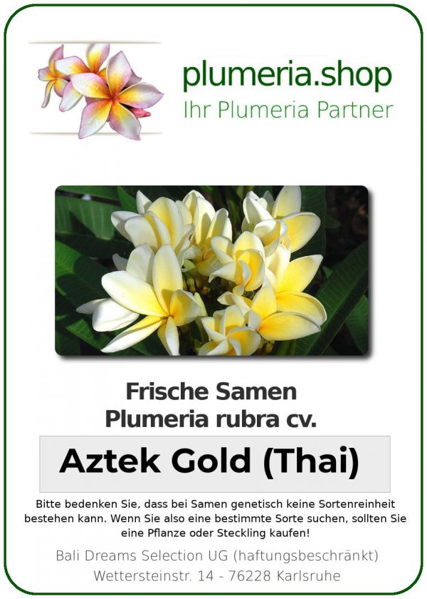 Plumeria rubra &quot;Aztek Gold (Thai)&quot;