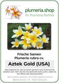 Plumeria rubra "Aztek Gold" (USA)