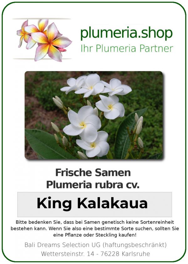 Plumeria rubra "King Kalakaua"