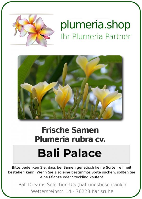 Plumeria rubra "Bali Palace"