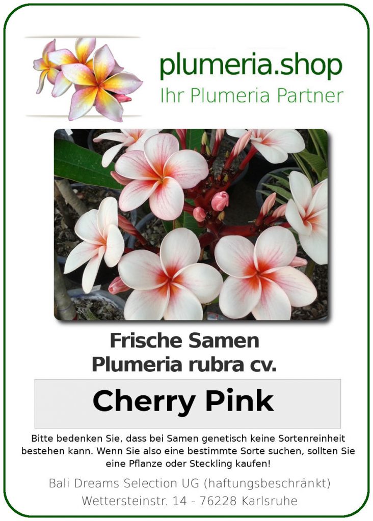 Plumeria rubra "Cherry Pink"