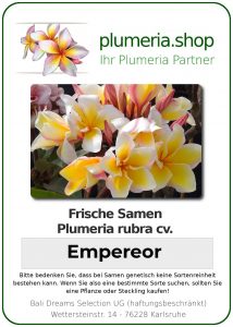 Plumeria rubra "Empereor"