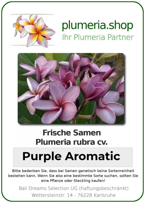 Plumeria rubra &quot;Purple Aromatic