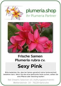 Plumeria rubra "Sexy Pink"
