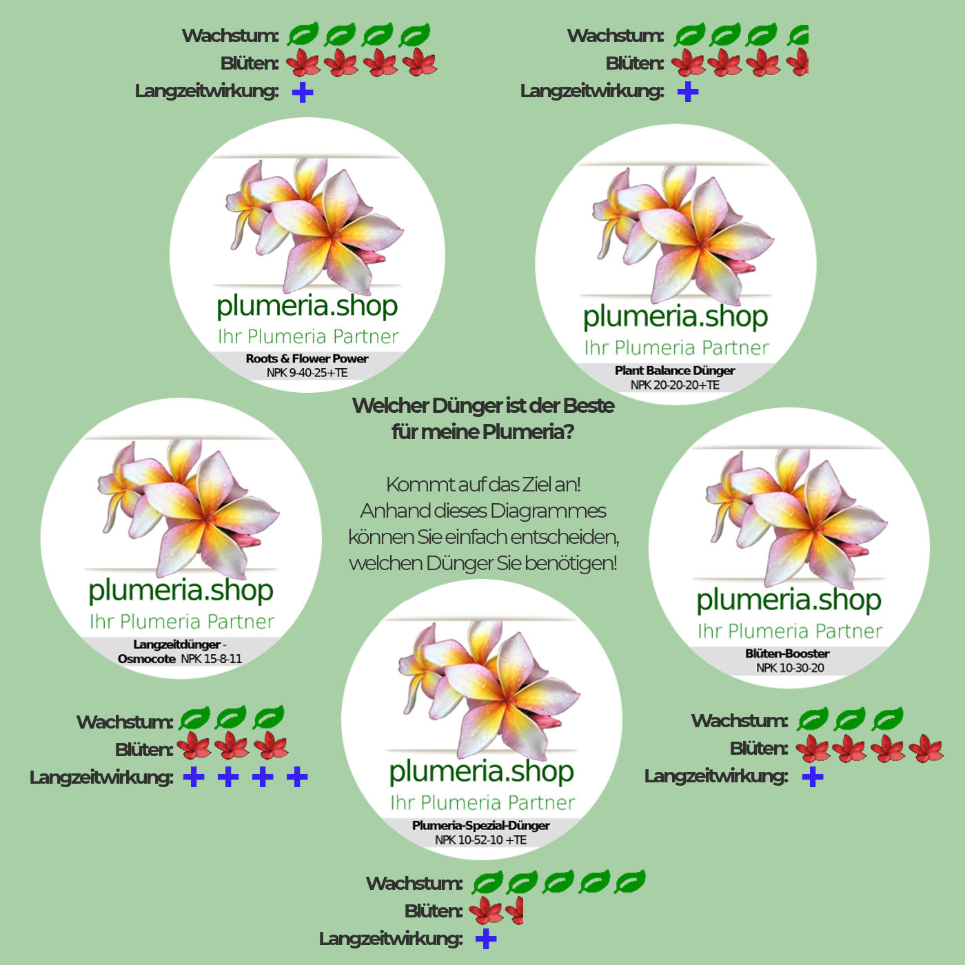 Plumeria / Frangipani Fertiliser Overview