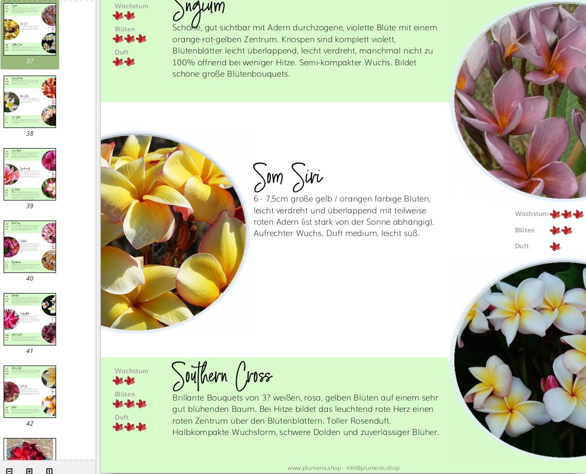 Plumeria Sorten Katalog