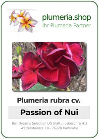 Plumeria rubra "Passion Of Nui"
