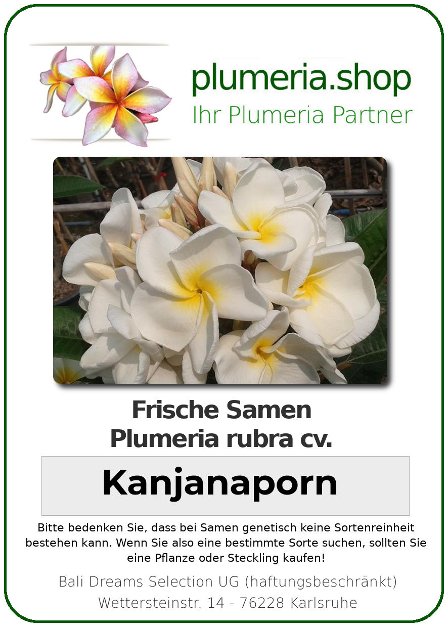 plumeria rubra “kanjanaporn” – plumeria shop – ihr partner für