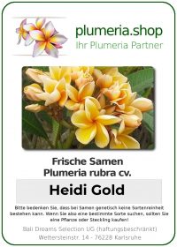 Plumeria rubra - Graines - &quot;Heidi Gold