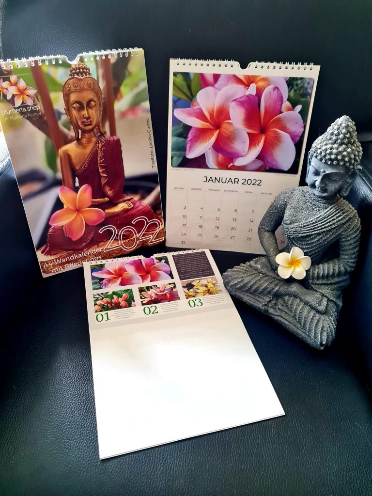 Jahreskalender (Wandkalender) im A4 Format, 2022