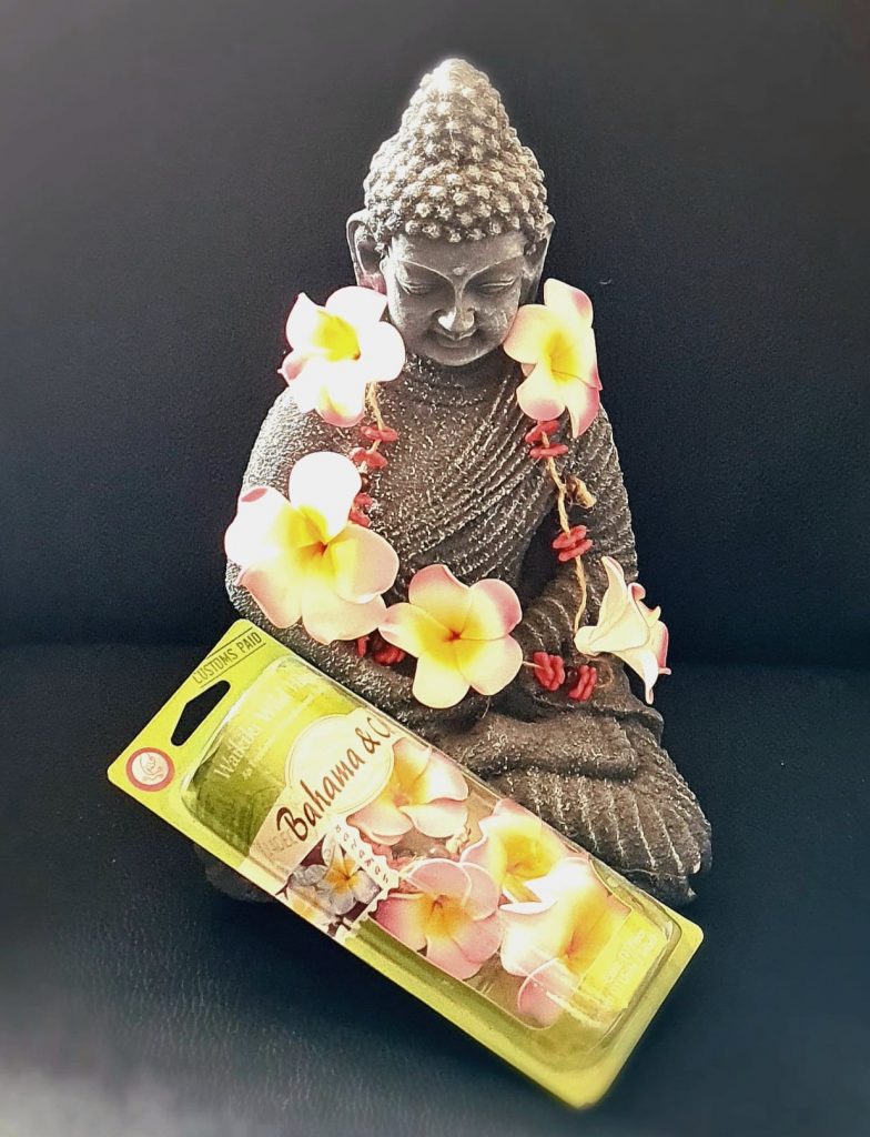 Lufterfrischer für das Auto "Waikiki Wild Hibiscus"