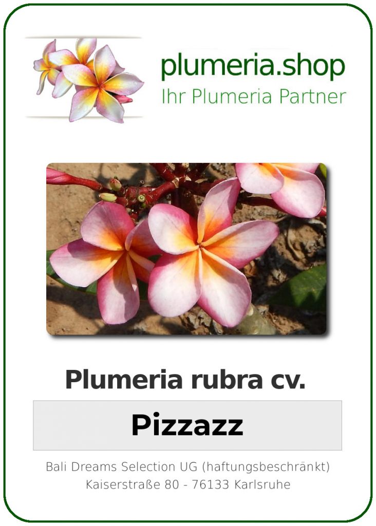 Plumeria rubra "Pizzaz"