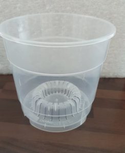 transparenter Anzuchttopf