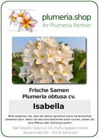 Plumeria obtusa - &quot;Obtusa Isabella- Seeds&quot;