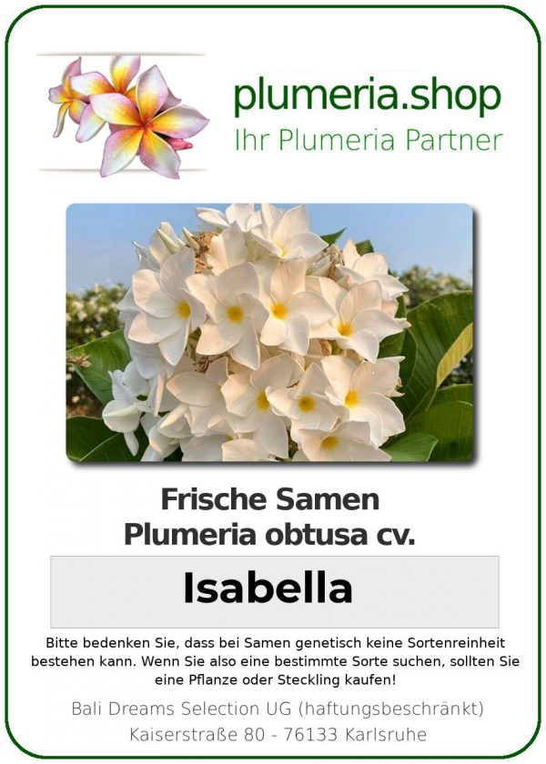 Plumeria obtusa - "Obtusa Isabella- Seeds"