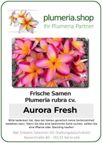 Plumeria rubra - "Aurora Fresh - Seeds"