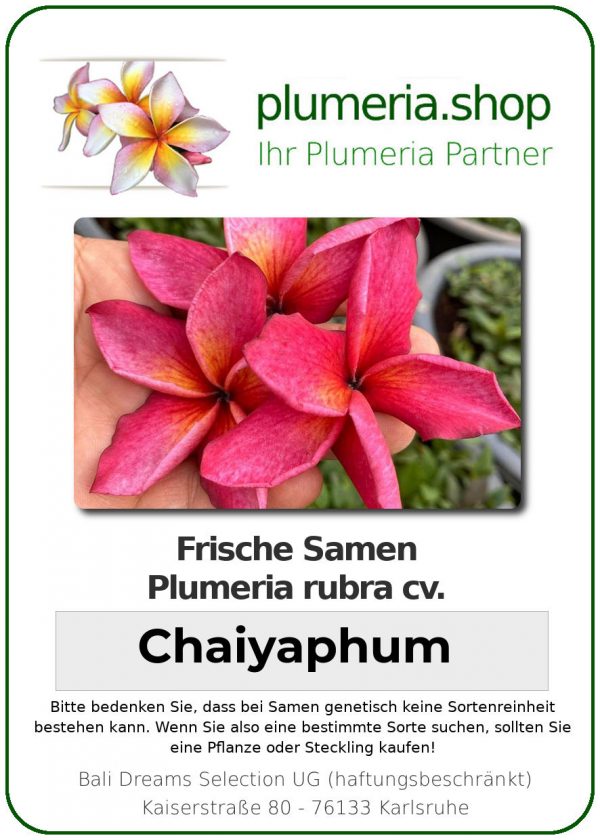 Plumeria rubra - &quot;Chaiyaphum - Seeds&quot;
