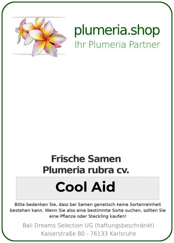Plumeria rubra - "Cool Aid - Seeds"