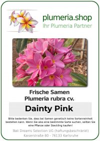 Plumeria rubra - "Dainty Pink- Seeds"